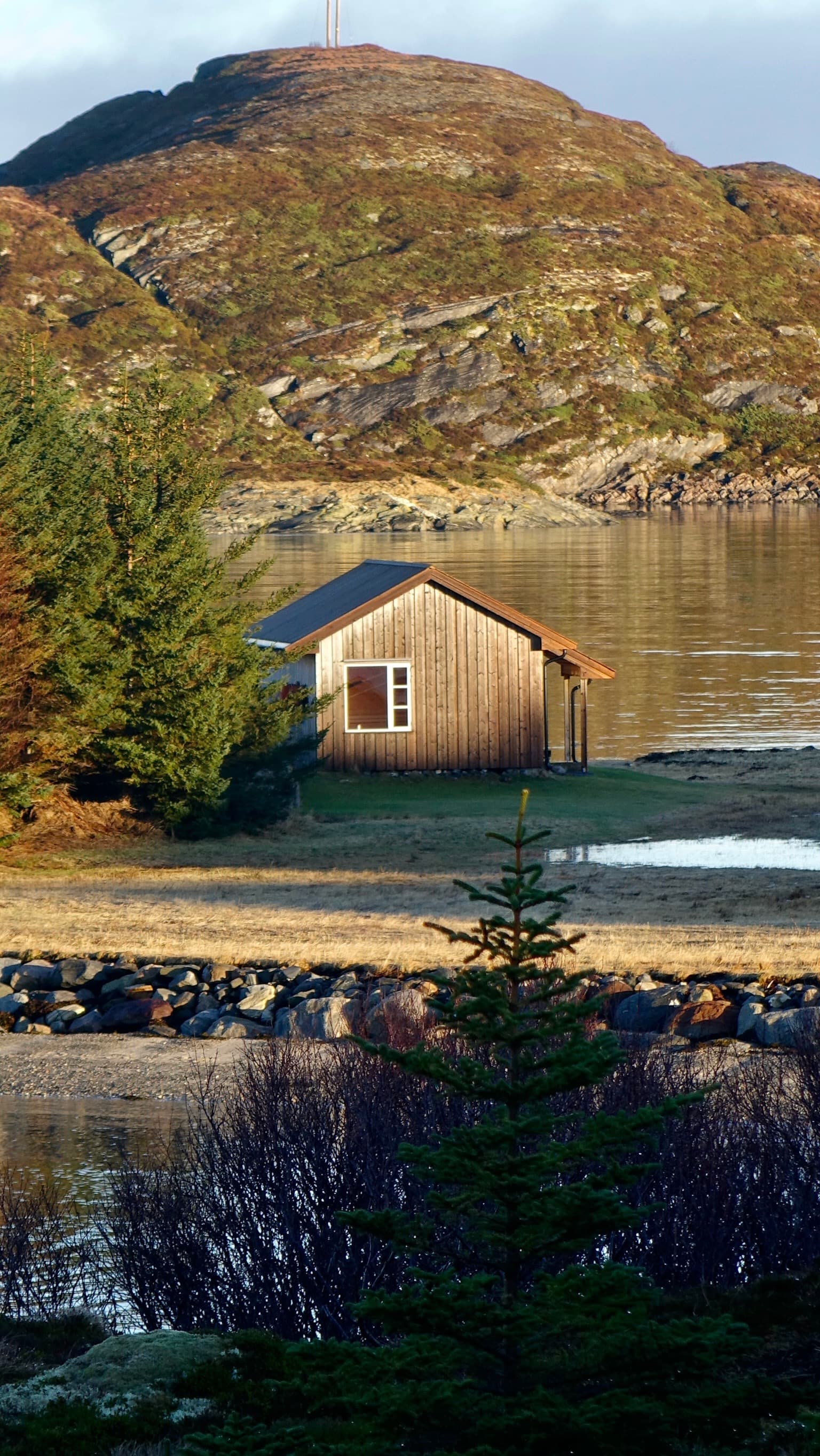 _DSC2506